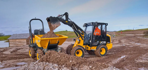 chargeuses - chargeuse-compact-sur-pneus - 403 - jcb - Tinsal - Algérie